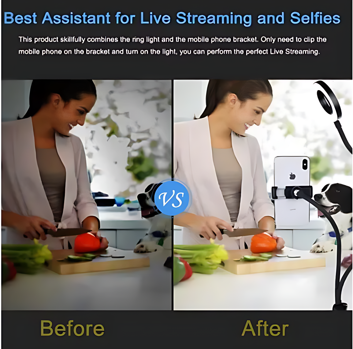 2-in-1 Universal Mobile Holder