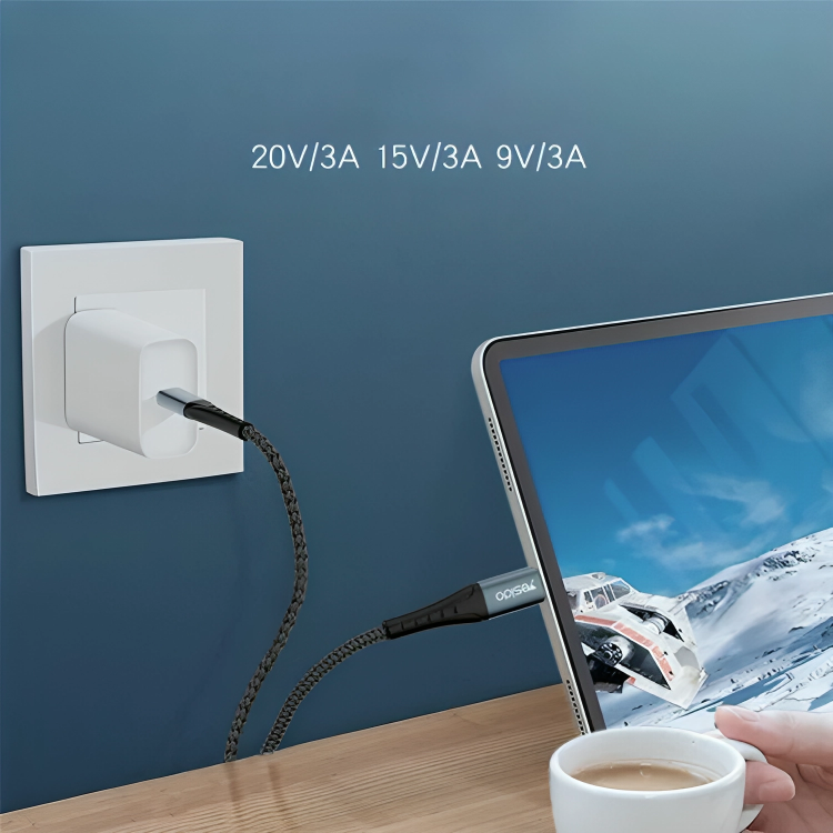 CA65 Type C Data Cable