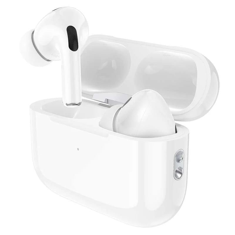 True Wireless BT Earbud (EW51)