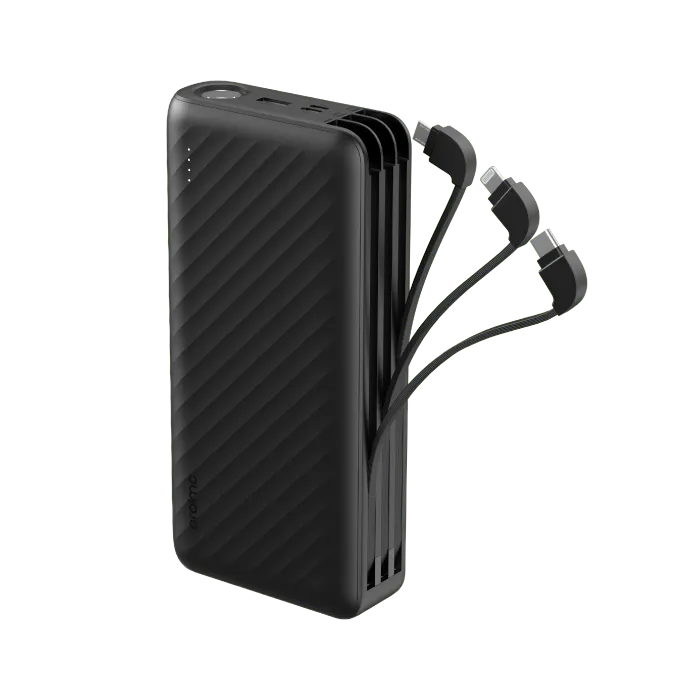 Multi-Port Power Bank (Original)
