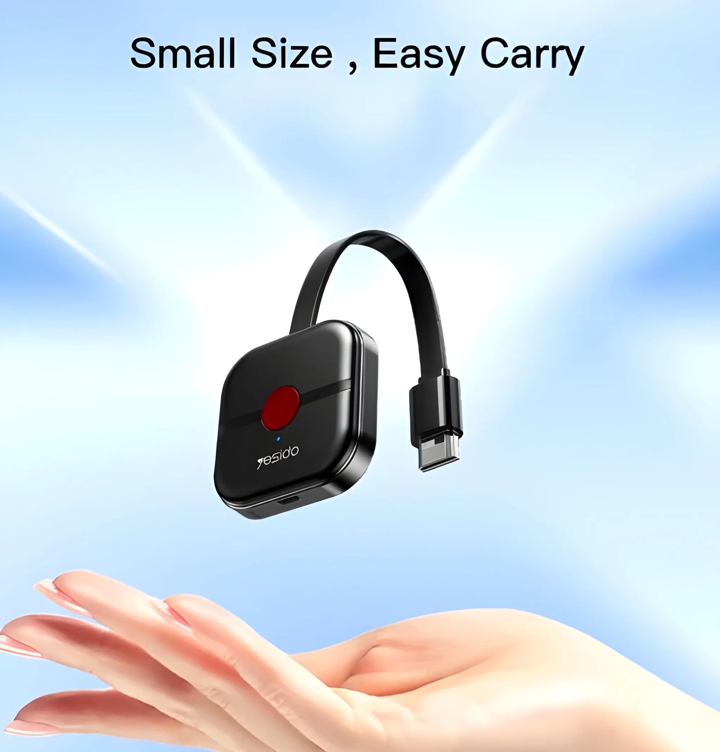 Display Dongle Adapter