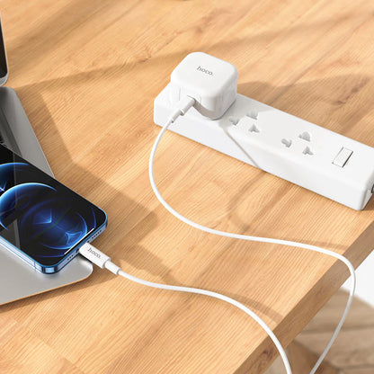 Founder Single Port Charger (C91B)