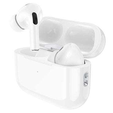True Wireless BT Earbud (EW51)