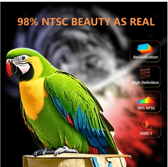 LED - Source Multimedia Projector