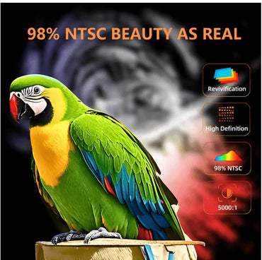 LED - Source Multimedia Projector