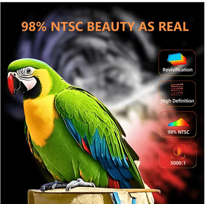 LED - Source Multimedia Projector